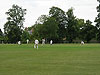 No 3 batsman, 93 not out, prods cautiously to Deavs