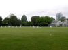Oporto CC ground in all it's finery