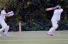 Chippenham v Pimlico Strollers (16 August 2015)