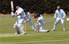 Codicote v Pimlico Strollers (19 July 2015)