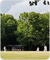 Chesham Bois CC
