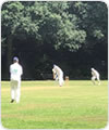 Strollers vs Chesham Bois, 12 July 2020