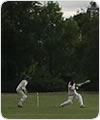 Strollers at Chippenham, 12 August 2018