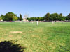 Zes CC v Pimlico Strollers CC (Corfu, 13 September 2015)