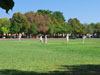 Zes CC v Pimlico Strollers CC (Corfu, 13 September 2015)