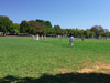 Zes CC v Pimlico Strollers CC (Corfu, 13 September 2015)