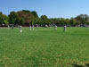 Zes CC v Pimlico Strollers CC (Corfu, 13 September 2015)