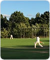 Strollers against the Battersea Bohemians, 19 August 2018