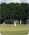 Strollers vs Highgate Irregulars, 2 August 2020