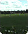 Strollers against the London Erratics, 9 September 2018