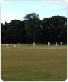 Game Cox vs Pimlico Strollers