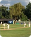 HICCs v Strollers, 19 June 2018