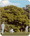 Strollers vs Highgate Irregulars, 23 July 2023