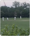 Strollers vs Highgate Irregulars, 27 May 2021