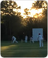 Tetherdown Trundlers v Strollers, 27 June 2018