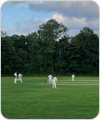 Strollers vs Old Finchleians, 14 July 2021