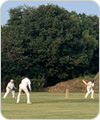 Strollers vs Ploughmans, 18 August 2024