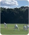 Strollers vs Ploughmans, 30 June 2024