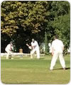 Strollers vs I Don't Like Cricket, 15 September 2019