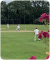 Strollers vs Highgate Taverners, 25 July 2021