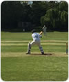 Spencer in action