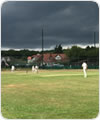 The Strollers in action at Theydon Bois CC