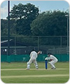 Strollers vs Theydon Bois, 23 June 2024